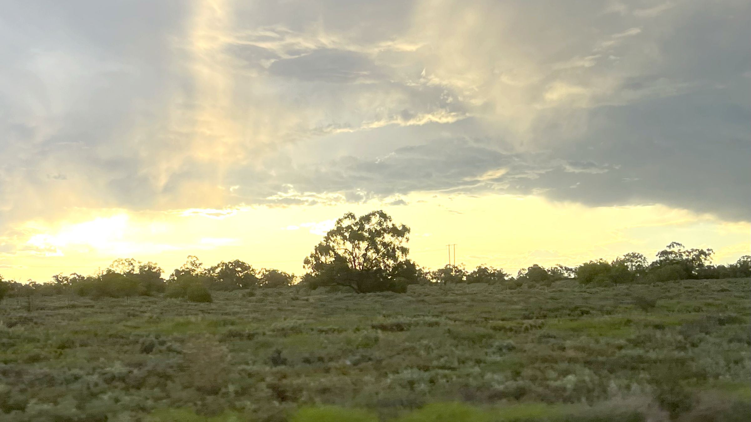 Late afternoon light over Australian rangeland
